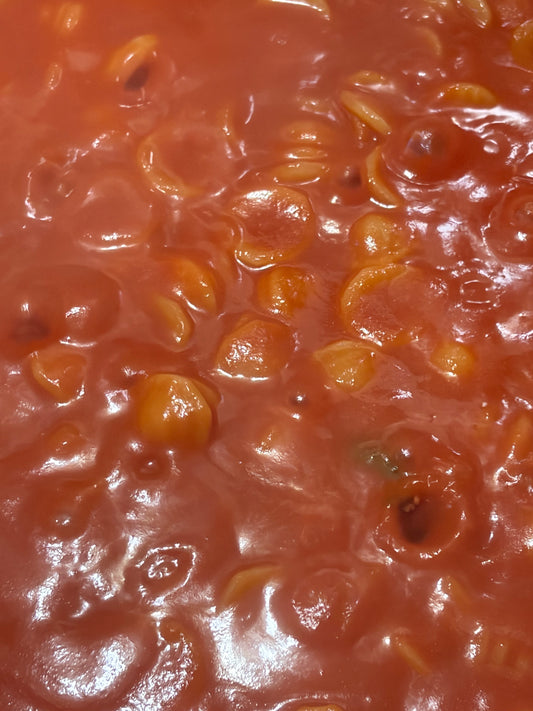 Authentic Orecchiette al Pomodoro — Classic Neapolitan Tomato Pasta Recipe